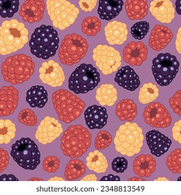 Patrón sin foco con frambuesas y moras. Berries en un fondo morado. Ilustración vectorial.