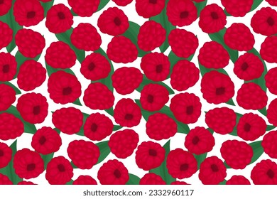 Himbeeren, Lebensmittel, Beeren mit nahtlosen Mustern  