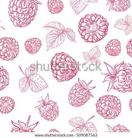 Seamless pattern with raspberries. Vector illustration