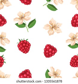 Seamless pattern with raspberry and blossom. Vector