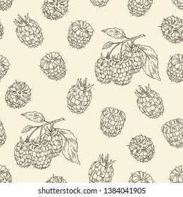 Seamless pattern with raspberry and branch of raspberry. Vector hand drawn illustration