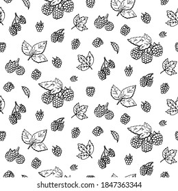 Seamless pattern with Raspberry and leaves. Graphic hand drawn engraving style. Doodle illustration for packaging, menu cards, posters, prints.