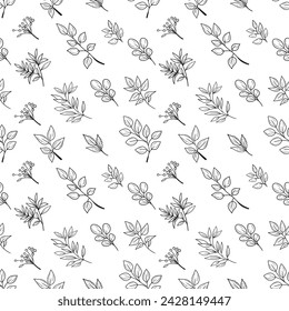 Seamless pattern with realistic abstract branch with leaves as eucaliptus, berries, rosewood. Hand drawn vector sketch doodle illustration in vintage engraved line art style. Repeatable background.