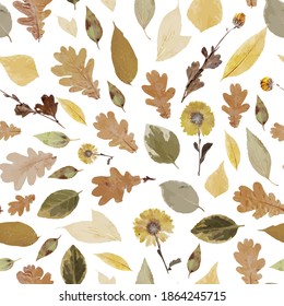 Seamless pattern from realistic autumn leaves. Autumn leaf fall.