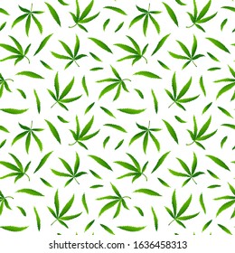 Seamless pattern with realistic cannabis leaf or health hemp. Marijuana texture for print, wallpaper, web, poster, card, sale. Vector Illustration