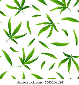 Seamless pattern with realistic cannabis leaf or health hemp. Marijuana texture for print, wallpaper, web, poster, card, sale. Vector Illustration
