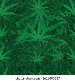 Nahtlose Muster von realistischen Cannabisblättern, Vektorillustration nahtlose Muster von Marihuana-Blättern.