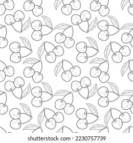Seamless pattern of realistic cherries on a white background. vector illustration.
