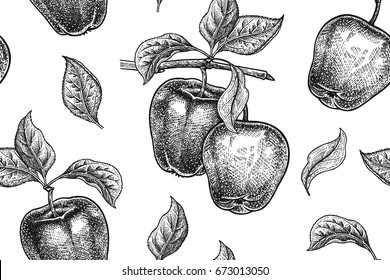 Seamless Pattern. Realistic Fruit, Branch And Apple Tree Leaf. Black And White Vegetarian Food. Vector Illustration Art. Vintage Engraving. Hand Drawing. Template With Nature Motifs For Kitchen Design