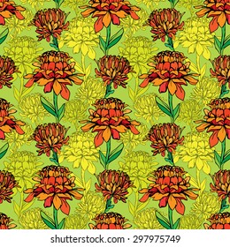 Seamless pattern with Realistic graphic flowers - daisyes - hand drawn background.