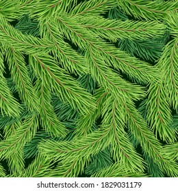 Seamless pattern with realistic green fir or pine branches. New Year and Christmas background with evergreen tree. Festive seasonal winter backdrop. Vector illustration