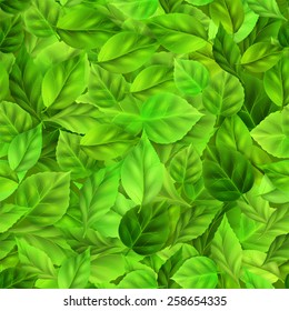 Seamless pattern of realistic green leaves