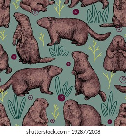 Seamless pattern of realistic groundhogs, marmot. Hand drawn vector illustration. Woodchuck colored retro ornament. Design for fabric, textile, wallpaper, print, background, Groundhog Day decor, card.