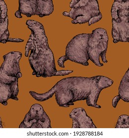 Nahtlose Muster von realistischen Grundschweinen, Marmot. Handgezeichnete Vektorgrafik. Holzschmuck mit Retroverzierungen. Design für Stoff, Textilien, Tapeten, Druck, Hintergrund, Dekor am Groundhog-Tag, Karte.