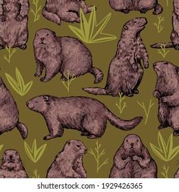 Nahtlose Muster von realistischen Grundschweinen, Marmot. Handgezeichnete Vektorgrafik. Holzschmuck mit Retroverzierungen. Design für Stoff, Textilien, Tapeten, Druck, Hintergrund, Dekor am Groundhog-Tag, Karte.