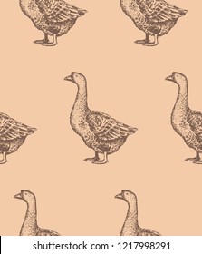 Seamless pattern with realistic hand-drawn goose silhouettes on peach background. Engraving style. Vector.