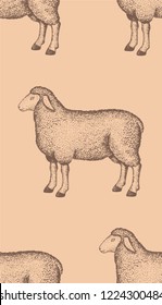 Seamless pattern with realistic hand-drawn sheep silhouettes on peach background. Engraving style. Vector.