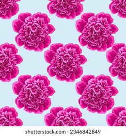 Patrón sin foco con peonías rosadas realistas. Vector