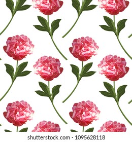 Seamless pattern with realistic red peony flowers. Vector isolated herbaceous colorful showy plant. Illustration for prints, cards, invitation.