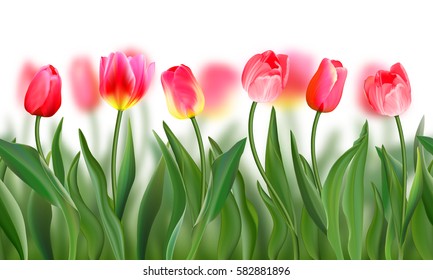 Seamless pattern with realistic red tulips flowers with blurred background. Vector illustration. Ornament for fabric, wallpaper, postcards, cards, etc.