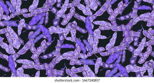 Seamless pattern realistic soybean pods hand drawn in line art style. Colorful purple soybean pods of natural plant isolated on dark background. Vector illustration
