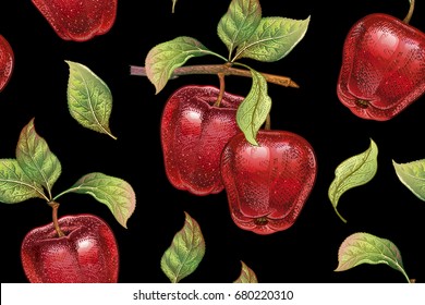 Seamless pattern with red apples. Realistic vector illustration plant. Hand drawing with colored pencils. Fruit, leaf, branch of tree on black background. For kitchen design, food packaging. Vintage.