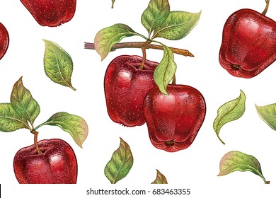 Seamless pattern with red apples. Realistic vector illustration plant. Hand drawing with colored pencils. Fruit, leaf, branch of tree on white background. For kitchen design, food packaging. Vintage.