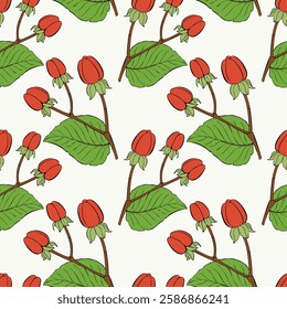 Seamless pattern with red berries, Hypericum Berries, for printing on fabric, textile, wrapping paper, decorative wallpaper, packaging. Vector illustration