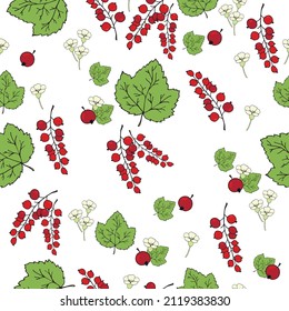 Seamless pattern with red currant berries, leaves, flowers. Vector hand drawn illustration.