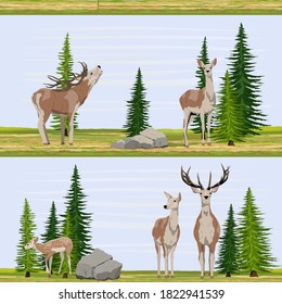 Patrón sin foco. Los ciervos rojos se paran cerca de grandes abetos en un claro. Un paisaje vectorial realista.