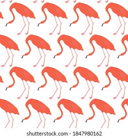 Seamless pattern with red flamingo. Animal print. 