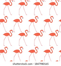Seamless pattern with red flamingo. Animal print. 