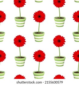Patrón sin foco con flores de gerbera roja en macetas de flores verdes sobre un fondo blanco. Ilustración del vector