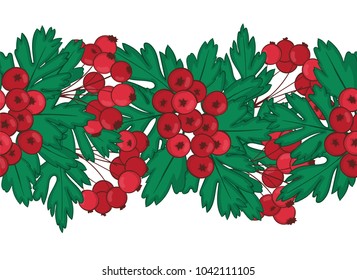 seamless pattern of red hawthorn berries. endless ornament clusters of Crataegus or Haw