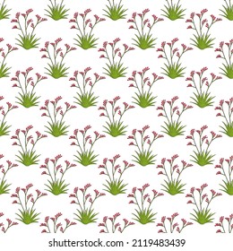 Patrón sin foco con pata de canguro rojo (Anigozanthos rufus), planta ornamental. Ilustración del vector