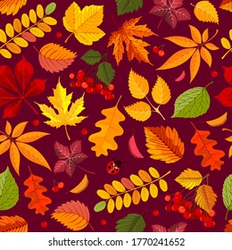 Seamless pattern in red and orange tones with autumn leaves and rowanberry. Fall background with maple leaves, oak and other plants. Vector illustration.