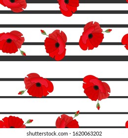 Seamless pattern of red poppies with bud on a white background with black stripes. Vector illustration, hand drawn.