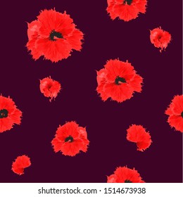 
Seamless pattern: red poppies flowers on a purple background. Vector. Illustration