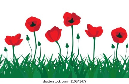 seamless pattern of red poppies and the green grass