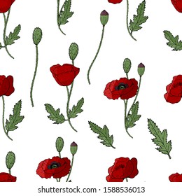 Seamless pattern with red poppies on a white background. Realistic wildflowers. Botanical doodling. Vector stock illustration.