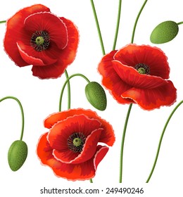 Seamless pattern with red poppy flowers and buds on white.