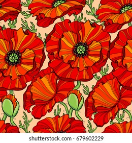 Seamless pattern with red poppy flowers. Floral background