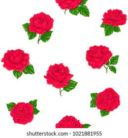 Seamless pattern with red roses, background isolated on white background. Hand drawn colorful vector illustration without transparent and gradients.