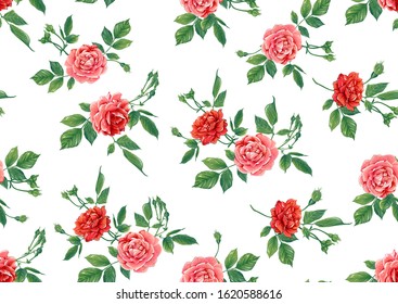 Seamless pattern with red roses flowers. Colored vector illustration. Isolated on white background.