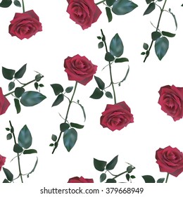 Seamless pattern with red roses on white background. Vector illustration.