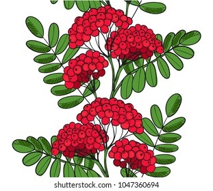 Seamless pattern Red Rowan Tree. Endless ornament twig of rowanberry or ashberry. Background leaves and cluster of sorbus berry. Brunch of sorb