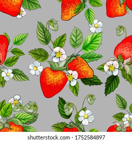 Seamless pattern with red strawberries, white flowers and green leaves on grey background. Illustration Vector stock illustration.