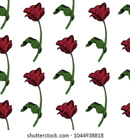 Seamless pattern with red tulip. Hand drawn sketch vector design