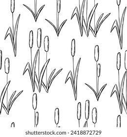 Seamless pattern with reed grass in hand drawn sketck style