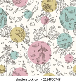 Seamless pattern with rehmannia glutinosa: rehmannia plant, leaves, rehmannia flowers and rehmannia glutinosa root. Cosmetic, perfumery and medical plant. Vector hand drawn illustration.